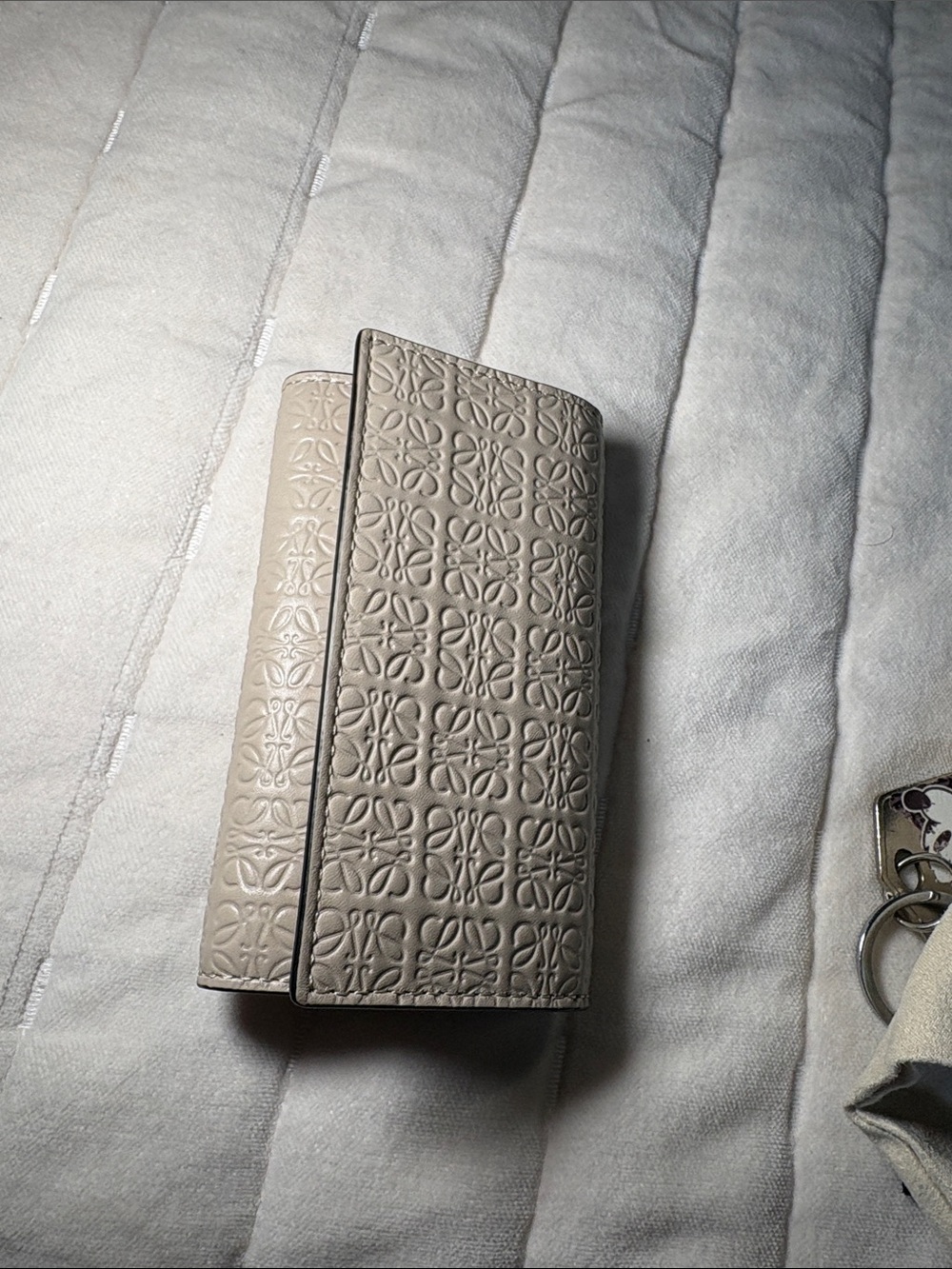 Loewe key case